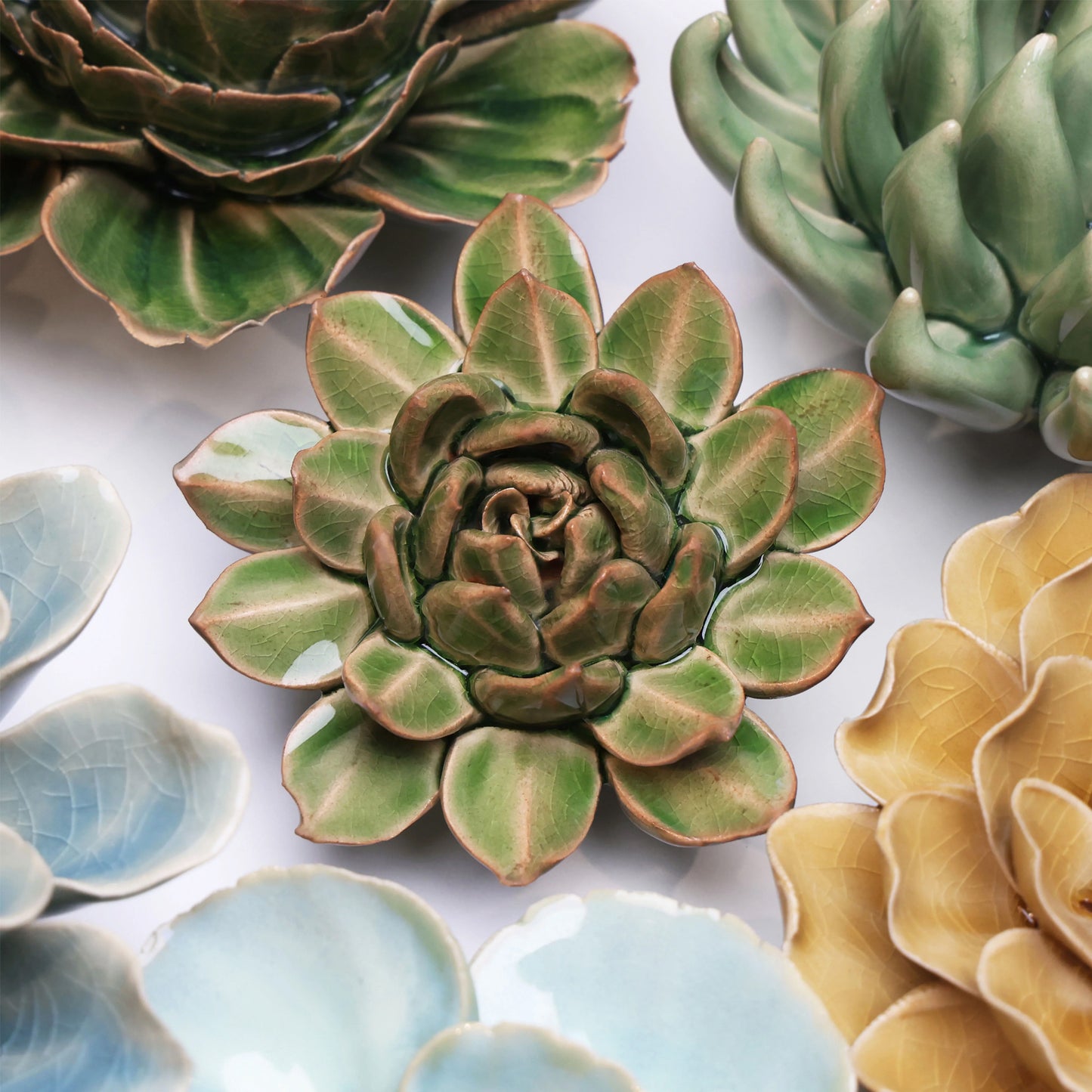 Ceramic flower Wall Art Green Succulent Small