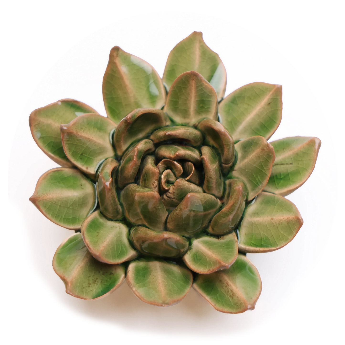Ceramic flower Wall Art Green Succulent Small