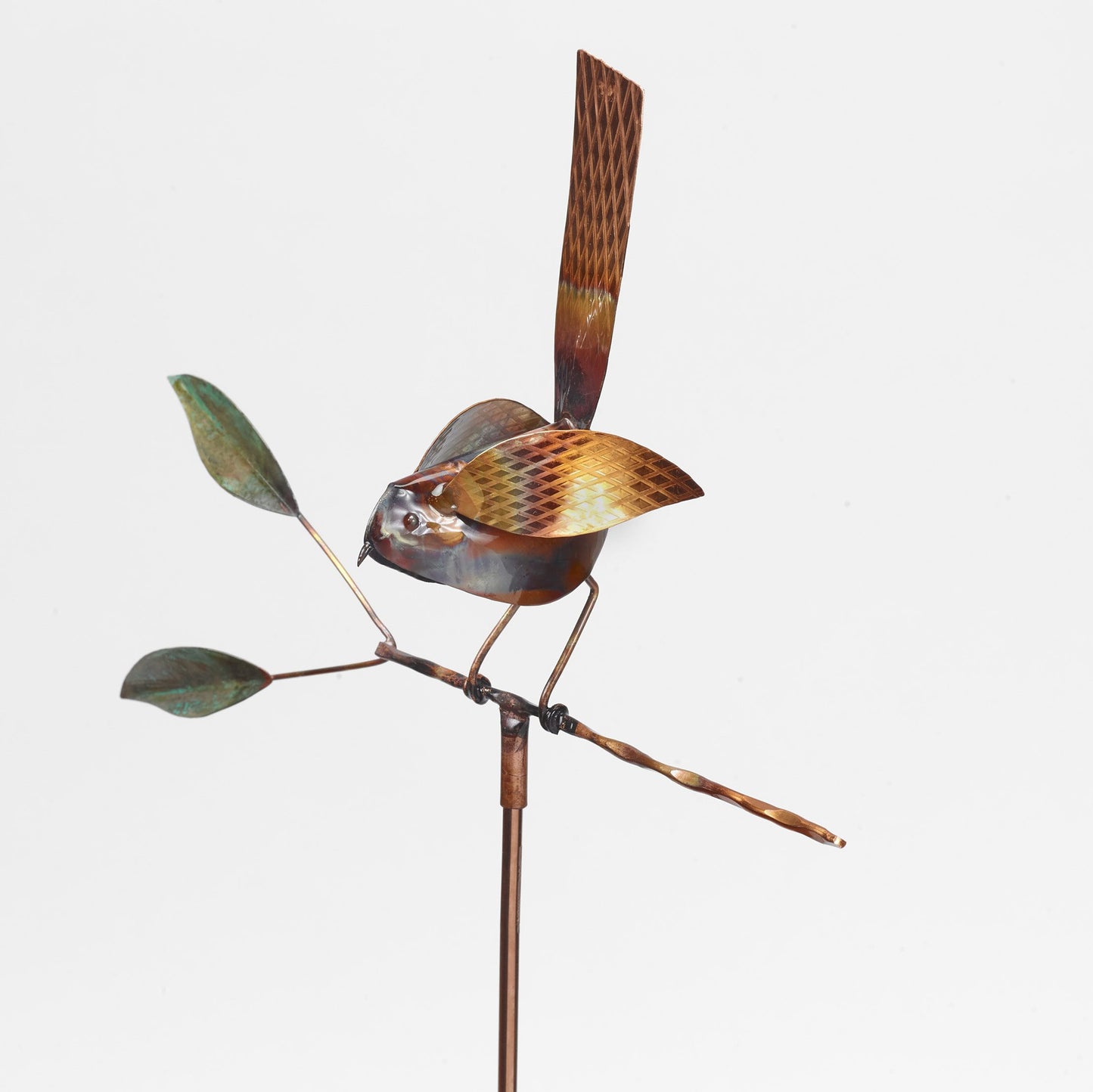 Bird on Branch