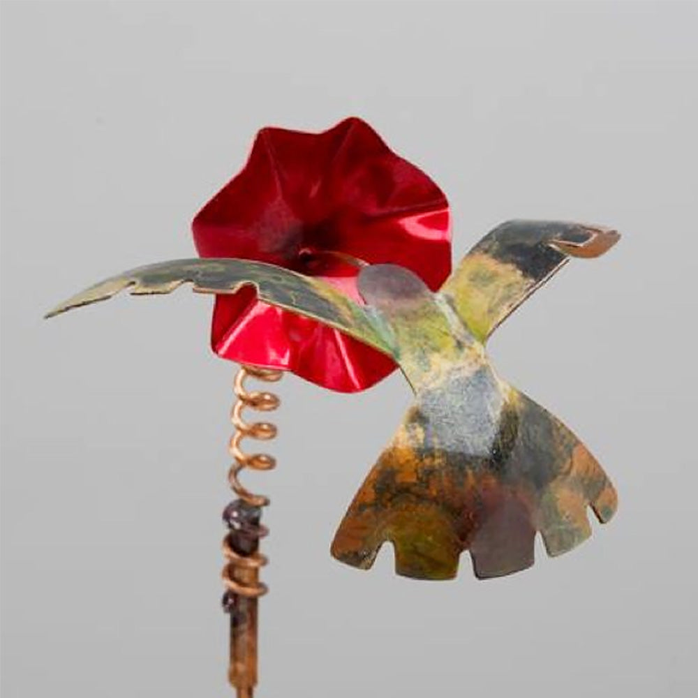 Hummingbird