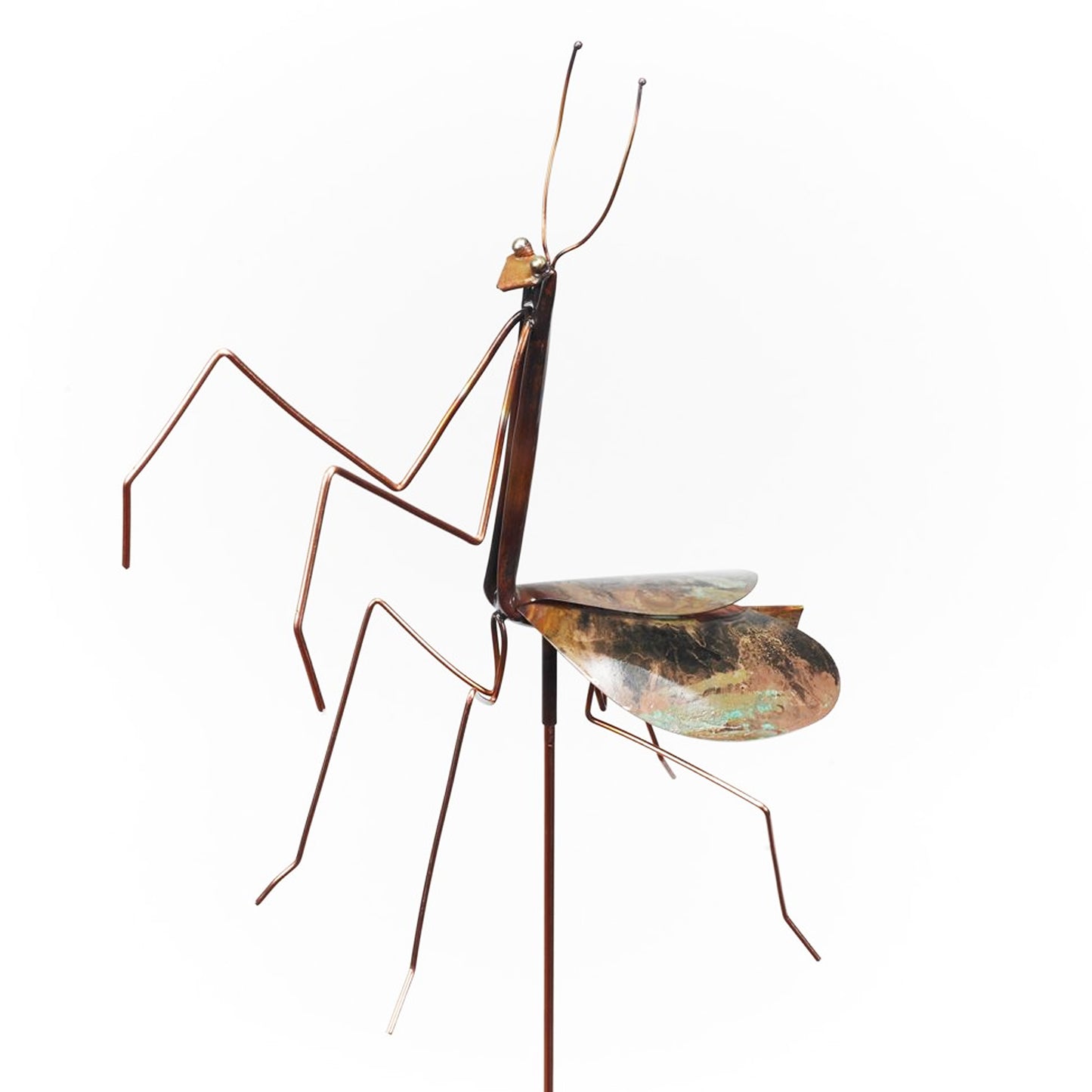Praying Mantis Large Garden