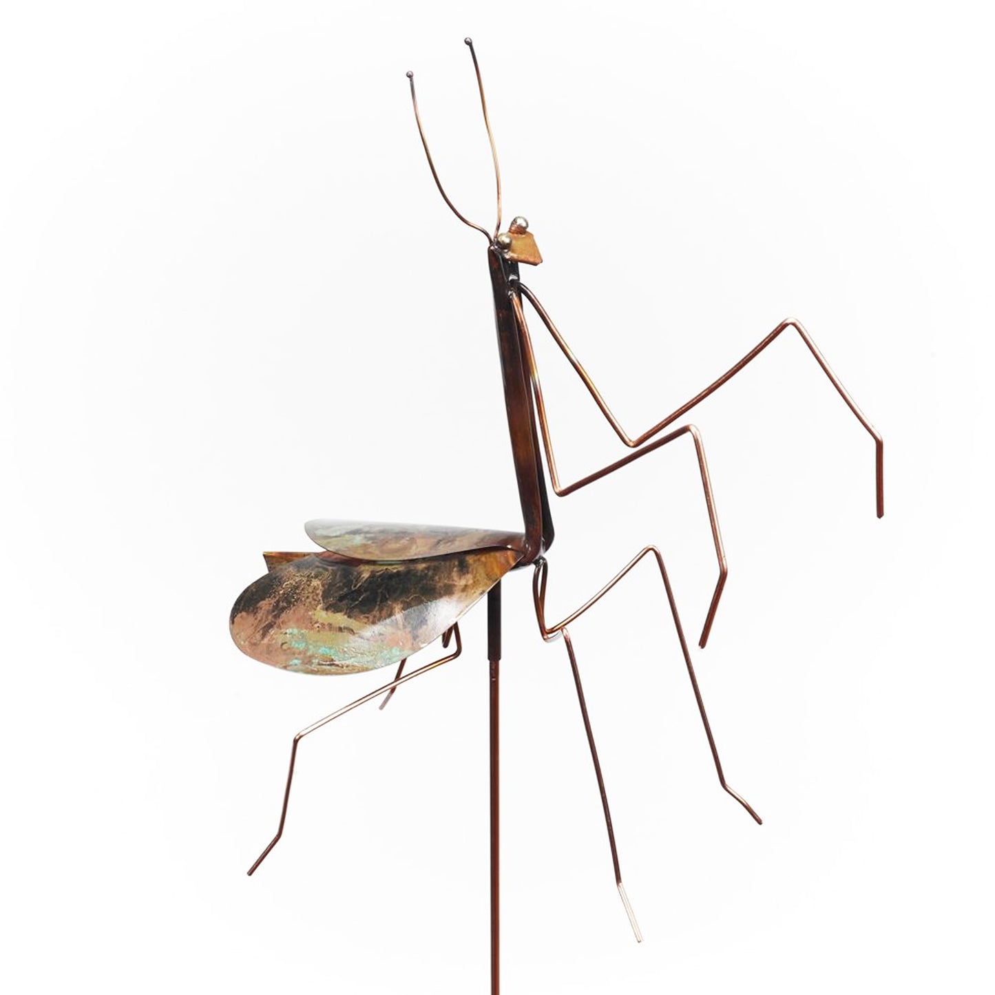 Praying Mantis Large Garden