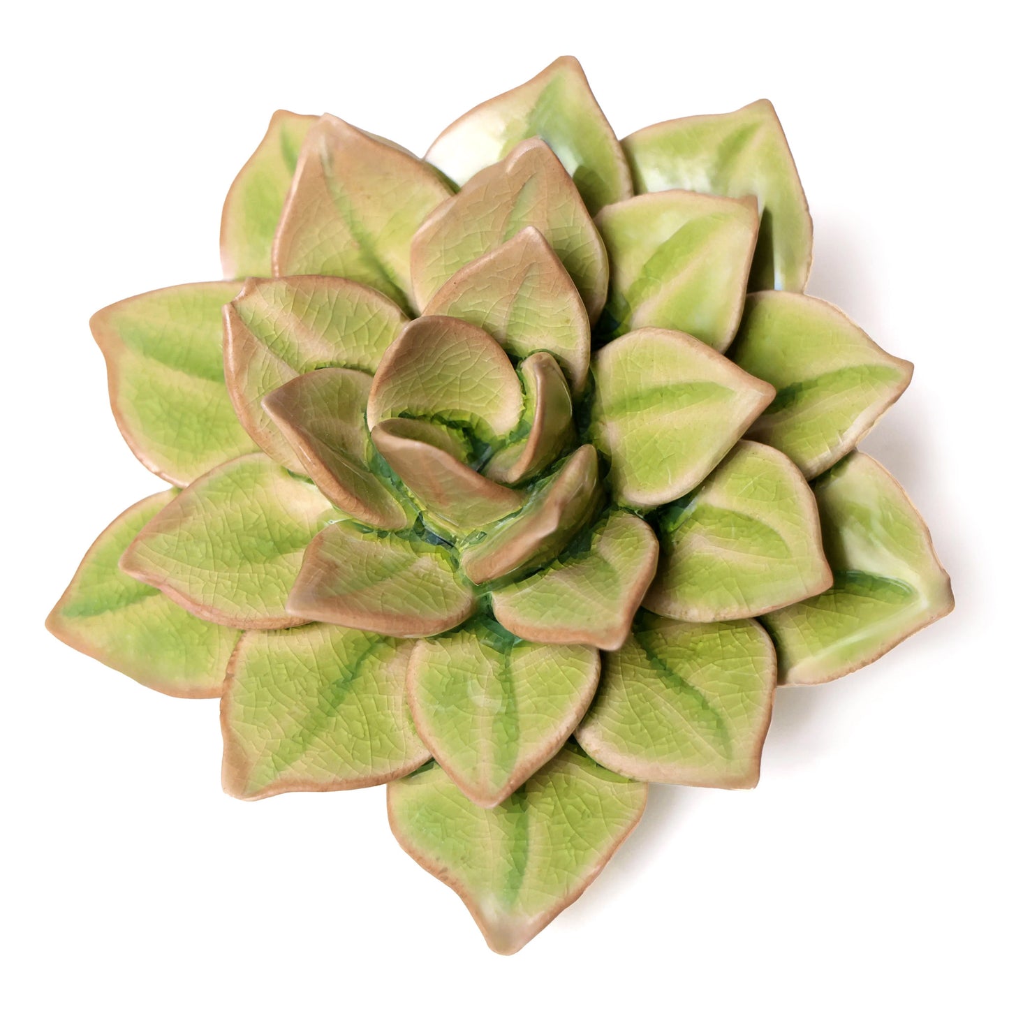 Ceramic flower Wall Art  Green Succulent Flower Medium