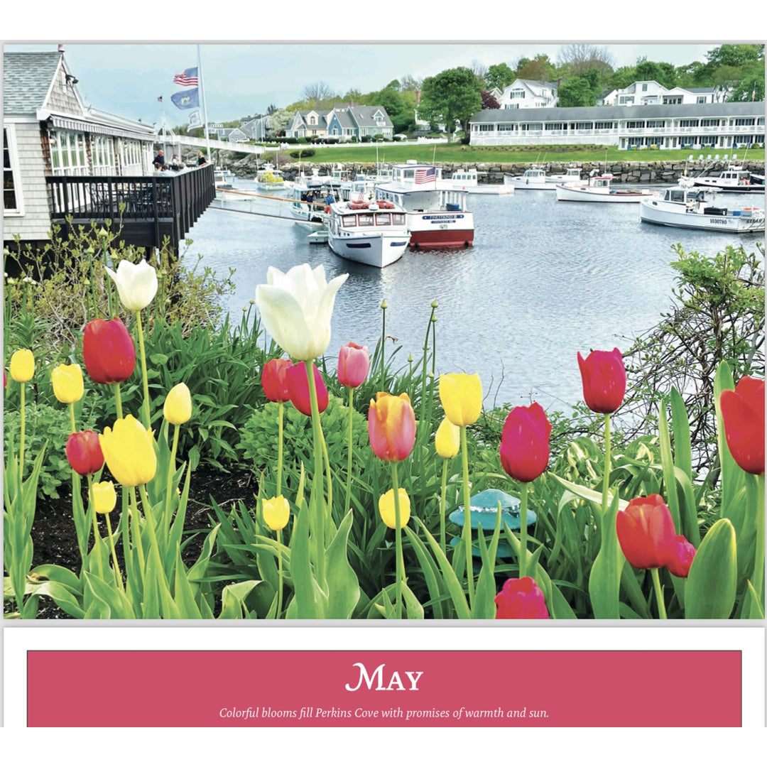 David Sullivan 2025 Ogunquit Calendar