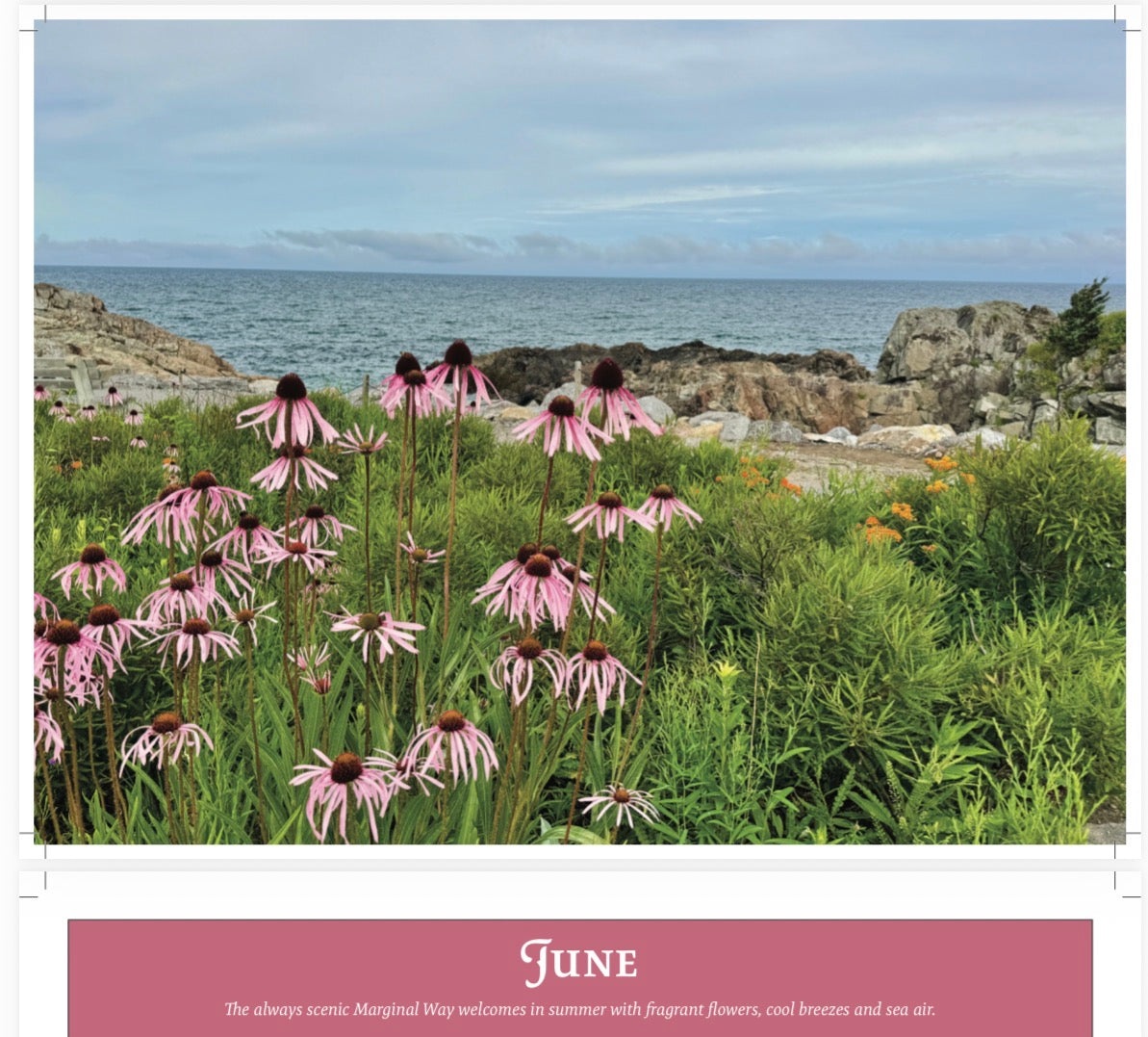 David Sullivan 2027 Ogunquit Calendar