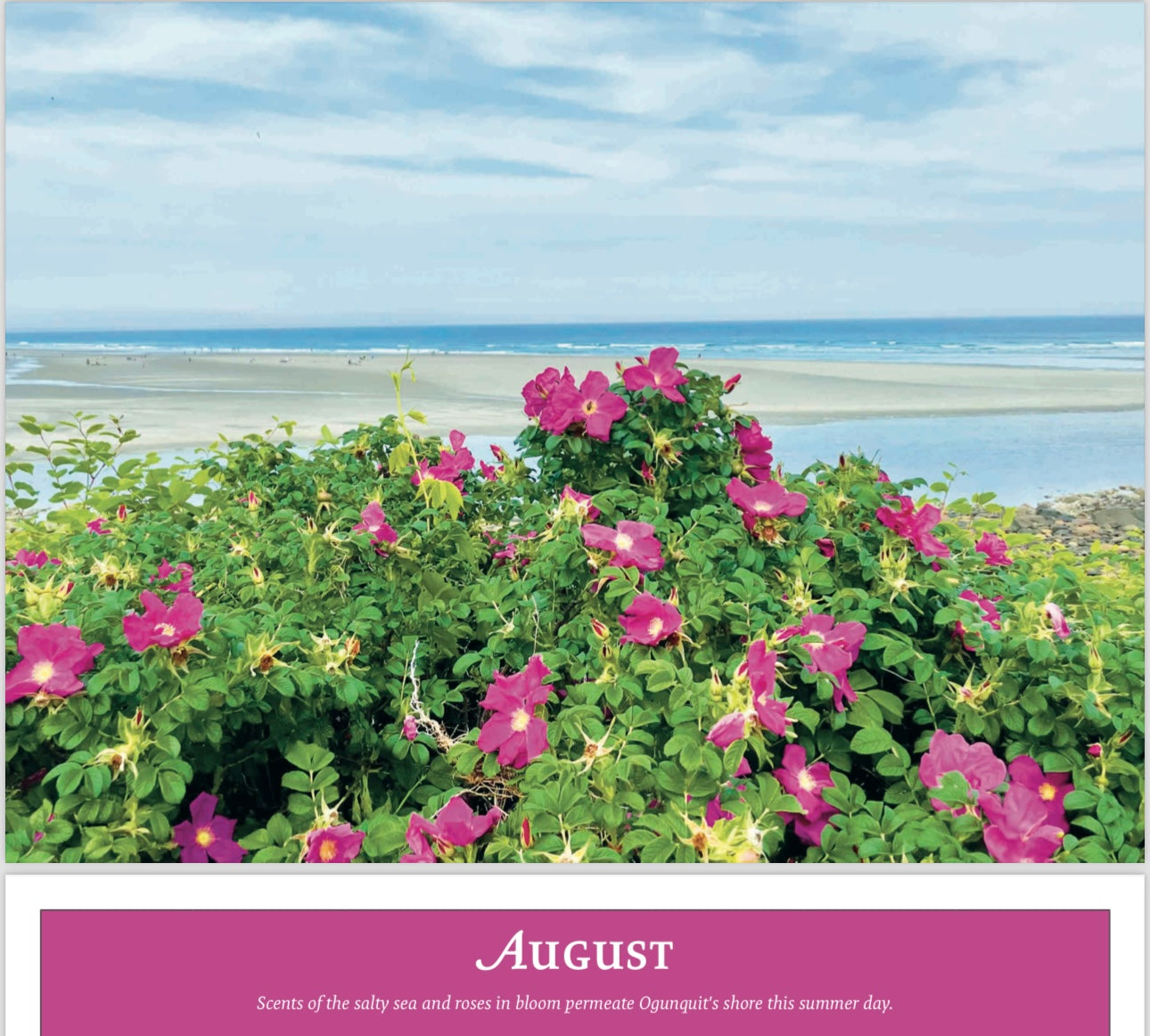 David Sullivan 2025 Ogunquit Calendar