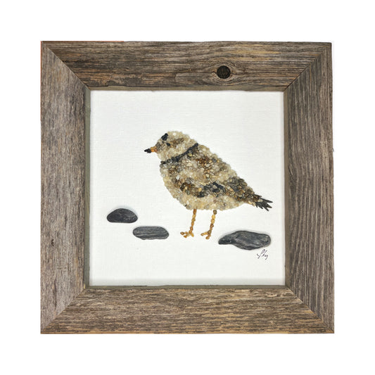 Piping Plover 6x6 Mosaic Pebble Art